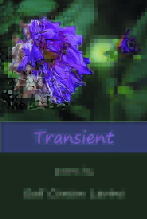 Transient Front Cover